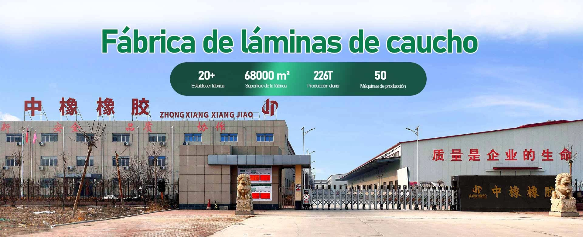 lamina de caucho
