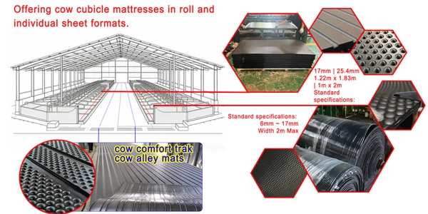 Heavy duty free stall rubber mats manufactured by premium cow cubicle mat supplier