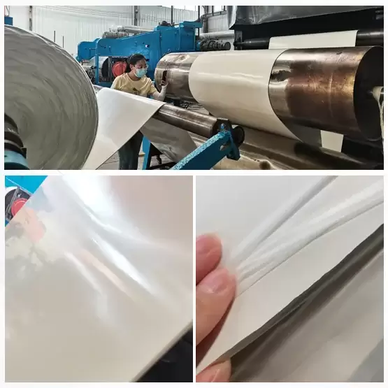 Neoprene FDA Grade rubber sheet roll