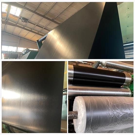 Weatherproof EPDM Gasket Roll Factory Wholesale | Premium UV-Resistant Industrial Gasket Sheet Roll