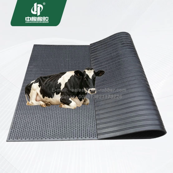 17mm Molded Rubber Dairy Mats for Cattle Comfort & Stall Safety